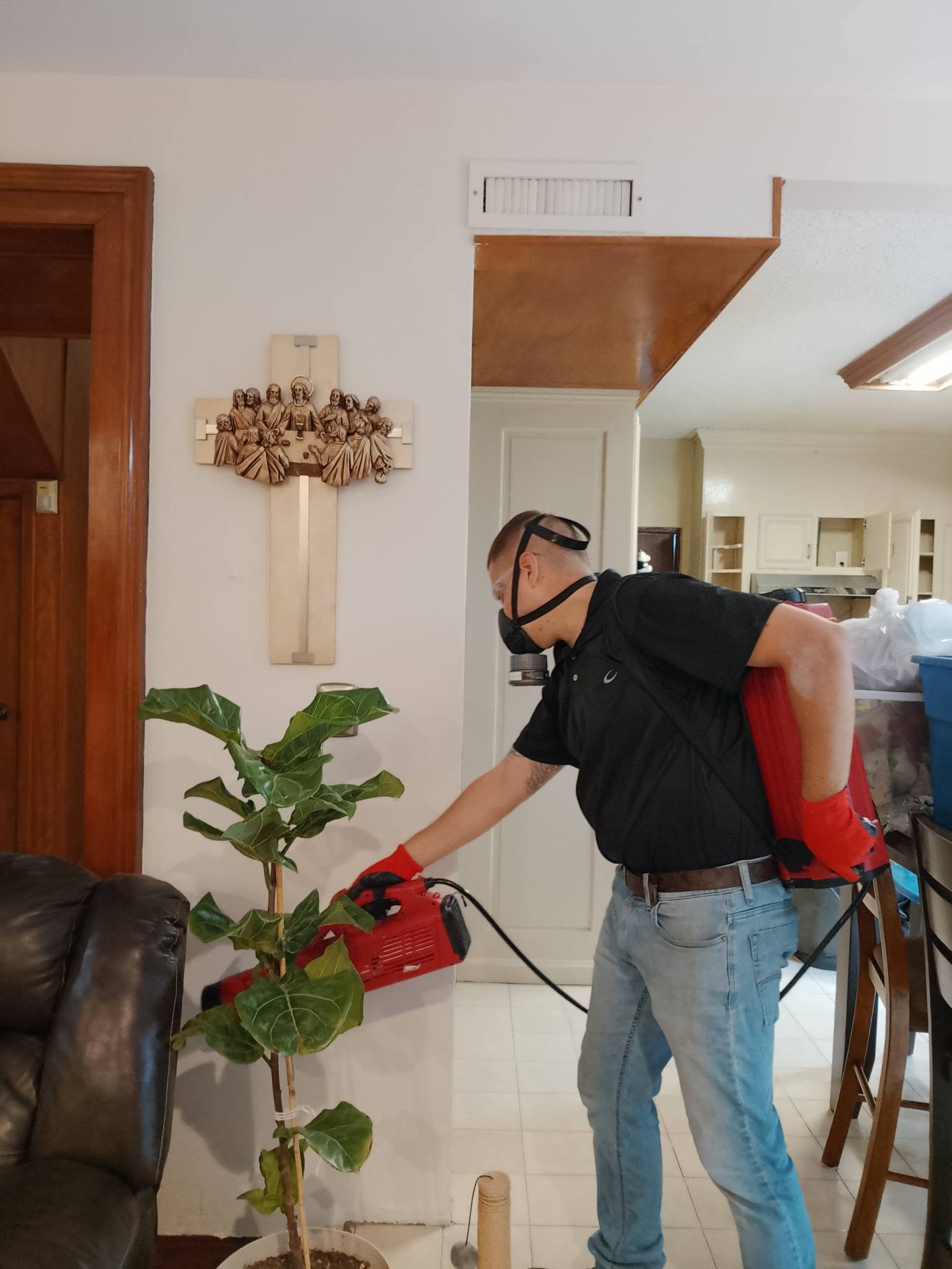 Residential pest control
