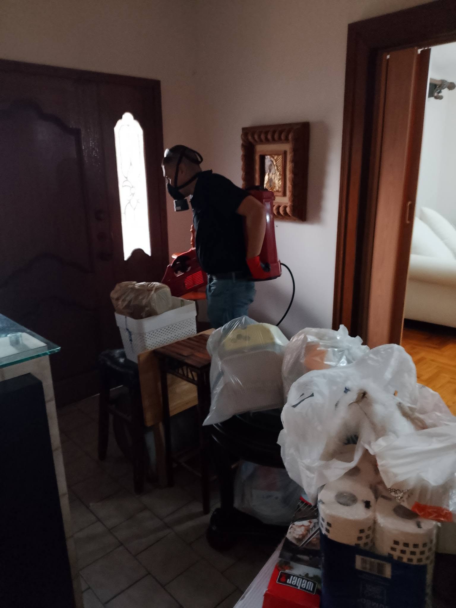 Residential pest control